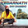 About Kedarnath Shiv Shambho Song
